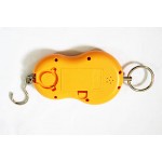 cân điện tử cầm tay cân điện tử cầm tay, can dien tu cam tay - image1